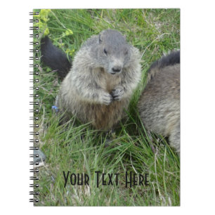 Carnet Marmot