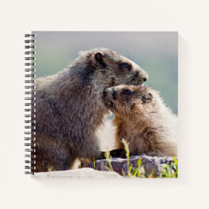 Carnet Marmotte mère avec bébé