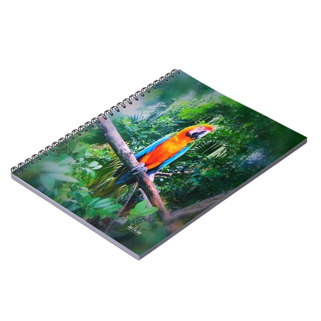 Carnet Martinique Macaw (Côté gauche)