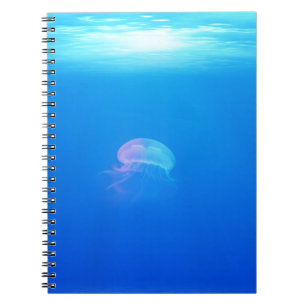Carnet méduse-698521 CRÉATURES DE MER ANIMAUX OCÉAN BLEU