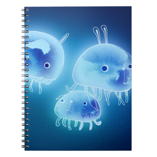 Carnet Méduses 2013 (Devant)