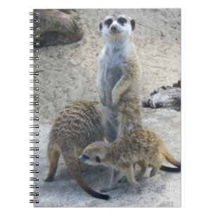 Carnet Meerkat