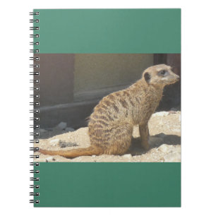 Carnet Meerkat