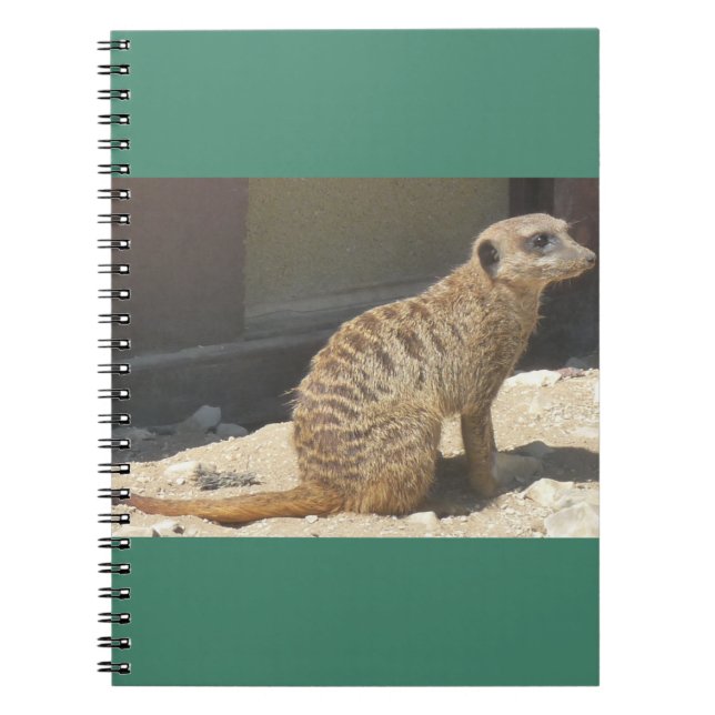 Carnet Meerkat (Devant)