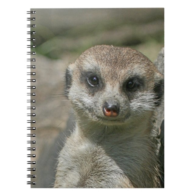 Carnet Meerkat 005 (Devant)
