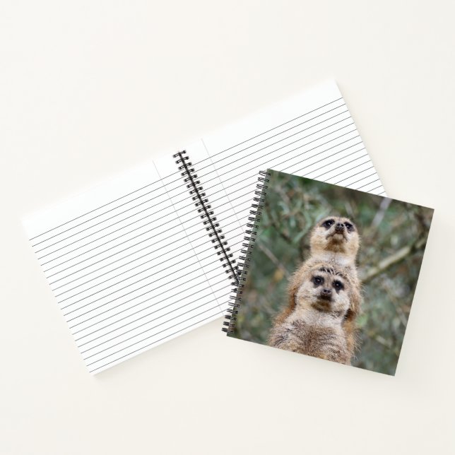 Carnet Meerkat 081 (Intérieur)