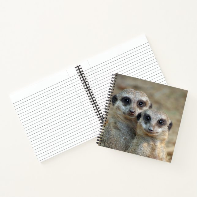 Carnet Meerkat 085 (Intérieur)