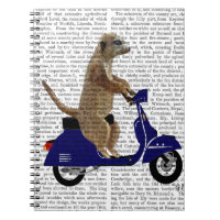 Meerkat sur Dark Blue Moped