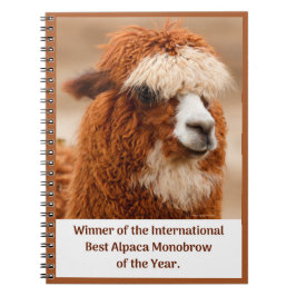 Carnet Meilleur Sourcil Uni d'Alpaca