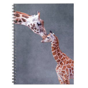 Carnet Mère des images de Getty et girafe de bébé