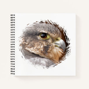 CARNET MERLIN FALCON OISEAU DE PREY