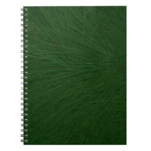 Carnet Merry Christmas Pine Tree Close