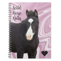 Mes notes de cheval sauvage