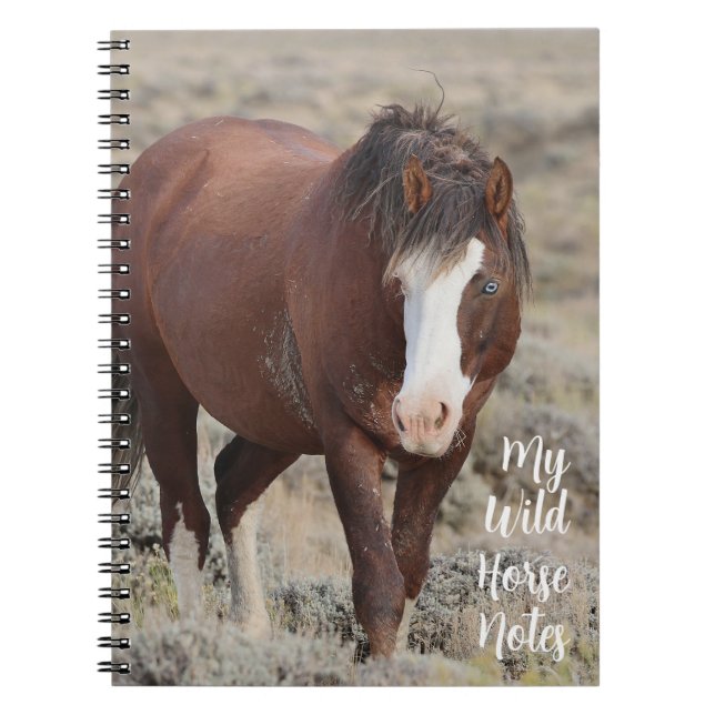 Carnet Mes notes de cheval sauvage (Devant)