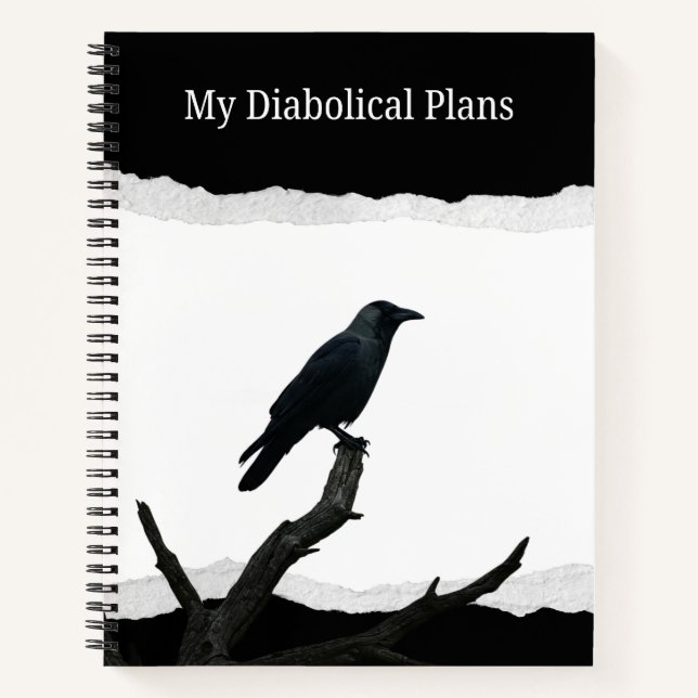 Carnet Mes Plans Diaboliques  (Devant)