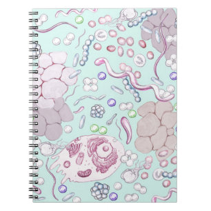 Carnet Microbiologie dans le bleu