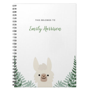 Carnet mignon de lama