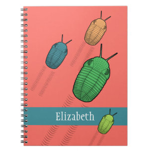 Carnet Migration de Trilobite - Animal préhistorique