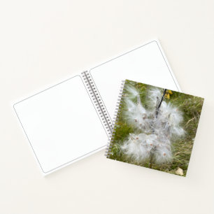 Carnet Milkweed   Papillon   Croquis