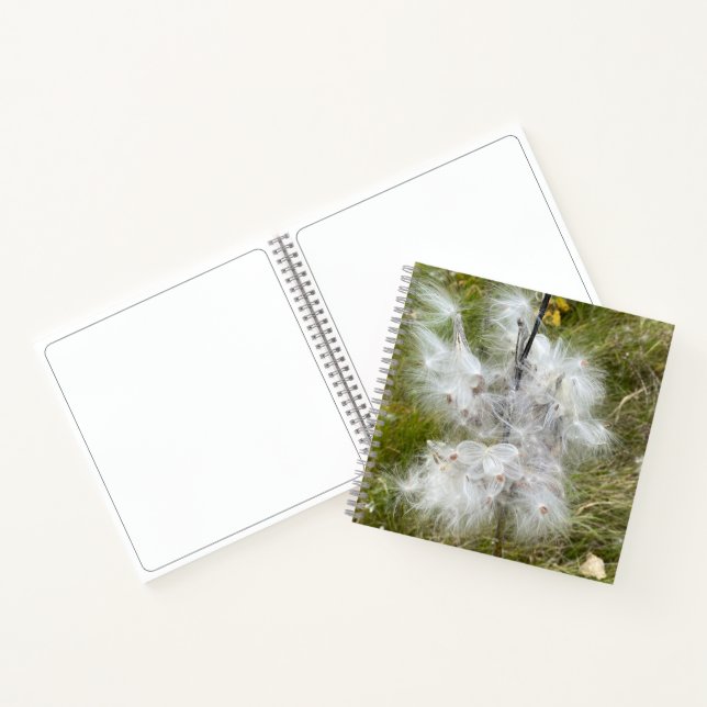 Carnet Milkweed | Papillon | Croquis (Intérieur)