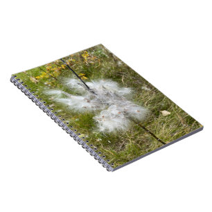 Carnet Milkweed Papillon Spirale