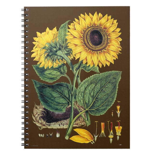 Carnet Miller : Tournesol (Devant)