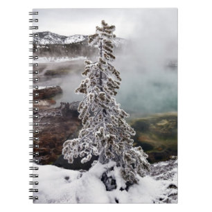 Carnet Milou Yellowstone