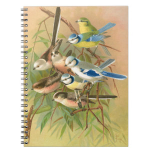 Carnet Min bleu eurasien et métit à queue longue, Oiseaux
