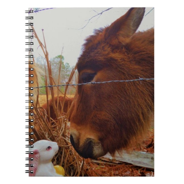 Carnet Miniature cheval Brown et lapin de Pâques (Devant)