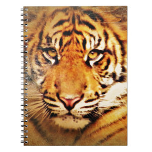 Carnet M'inspirer_