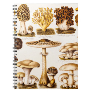 Carnet Modèle vintage de variété de champignon de 1800