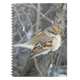 Carnet Moineau domestique B24