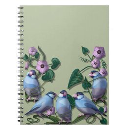 Carnet Moineaux de Java