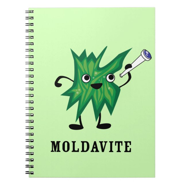 Carnet Moldavite (Devant)
