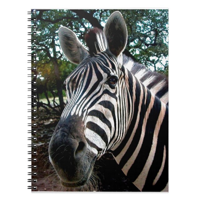 Carnet Mon ami trippé (Devant)