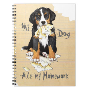 Carnet Mon Berner a mangé mes devoirs