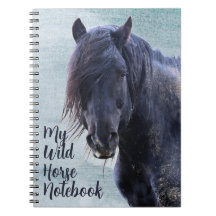 Mon cheval sauvage