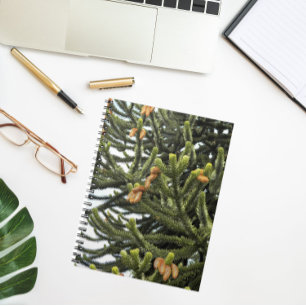 Carnet Monkey Puzzle Tree photo botanique