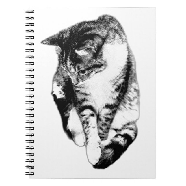 Carnet monochrome Tabby Cat (Devant)