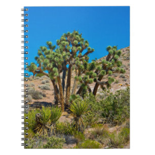Carnet Monument national de Gold Butte