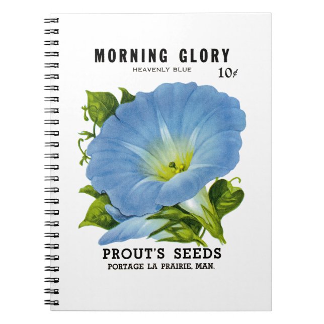 Carnet Morning Glory Vintage Seed Packet (Devant)