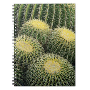 Carnet Motif de cactus