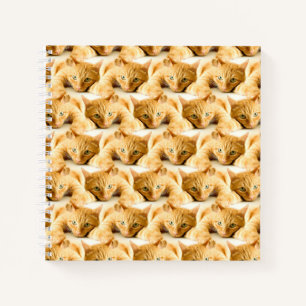 Carnet Motif de chat au gingembre orange