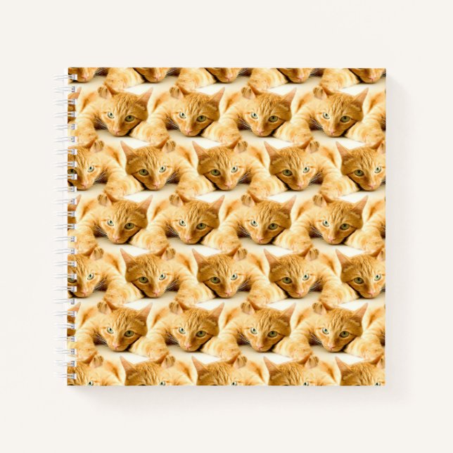 Carnet Motif de chat au gingembre orange (Devant)