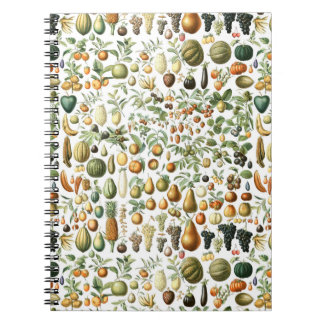 Carnet Motif de fruits de l'Adolphe Millot