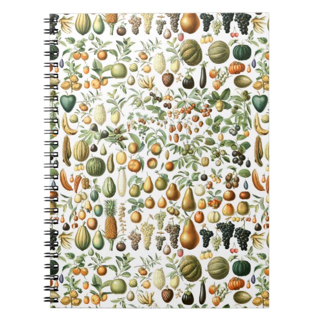 Carnet Motif de fruits de l'Adolphe Millot (Devant)
