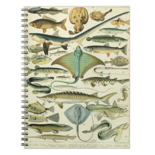 Carnet Motif de poisson Adolphe Millot-A