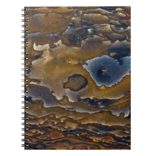 Carnet Motif De Swirl Sur La Plaque De Jasper (Devant)