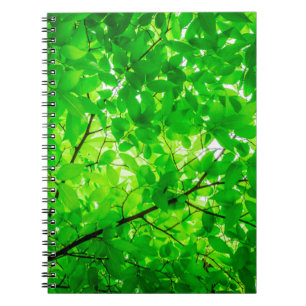 Carnet Motif de texture de brindille de la feuille d'arbr