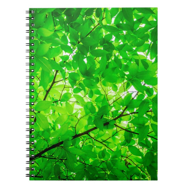 Carnet Motif de texture de brindille de la feuille d'arbr (Devant)
